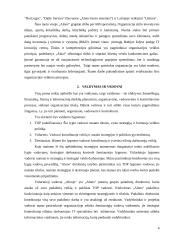 Organizacijos valdymo analizės projektas 4 puslapis