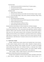 Organizacijos valdymo analizės projektas 7 puslapis