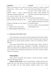 Organizacijos valdymo analizės projektas 9 puslapis