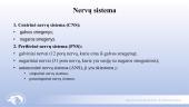 Centrinė ir periferinė nervų sistema 2 puslapis