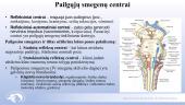 Centrinė ir periferinė nervų sistema 7 puslapis