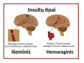 Širdies ir kraujagyslių sistemos ligos Lietuvoje 12 puslapis
