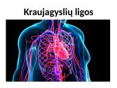 Širdies ir kraujagyslių sistemos ligos Lietuvoje 5 puslapis