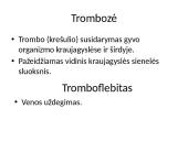 Širdies ir kraujagyslių sistemos ligos Lietuvoje 9 puslapis