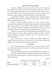 Panevėžio miesto demografinė situacija 2003-2005 metais 3 puslapis