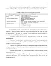 Paslaugų verslo planavimas, projektavimas 13 puslapis