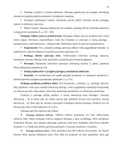 Paslaugų verslo planavimas, projektavimas 14 puslapis