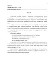 Mažumų teisių apsaugos politika Europos Sąjungoje 3 puslapis