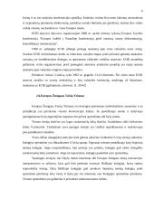 Mažumų teisių apsaugos politika Europos Sąjungoje 9 puslapis
