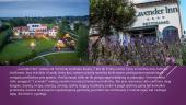 Lavander Inn viešbutis  3 puslapis