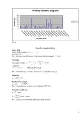 Penkių savaičių išlaidos dailės priemonėms 4 puslapis