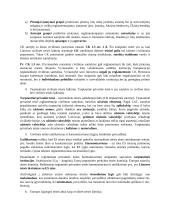 Civilinės teisės šaltiniai. Teorija 2 puslapis