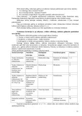 Kompetencijų ugdymo pavyzdžiai. Lietuvių gimtoji kalba 15 puslapis