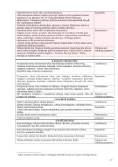 Kompetencijų ugdymo pavyzdžiai. Lietuvių gimtoji kalba 17 puslapis