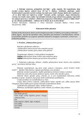 Kompetencijų ugdymo pavyzdžiai. Lietuvių gimtoji kalba 19 puslapis