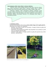 Kompetencijų ugdymo pavyzdžiai. Lietuvių gimtoji kalba 3 puslapis