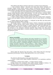 Kompetencijų ugdymo pavyzdžiai. Lietuvių gimtoji kalba 5 puslapis