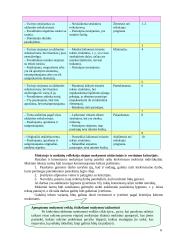 Kompetencijų ugdymo pavyzdžiai. Lietuvių gimtoji kalba 6 puslapis