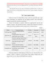 Rinkodaros planas: keramikinių plytelių gamyba ir eksportavimas AB "Dvarčionių keramika" 11 puslapis