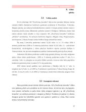 Rinkodaros planas: keramikinių plytelių gamyba ir eksportavimas AB "Dvarčionių keramika" 12 puslapis