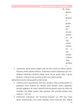 Rinkodaros planas: keramikinių plytelių gamyba ir eksportavimas AB "Dvarčionių keramika" 14 puslapis