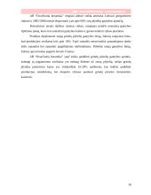 Rinkodaros planas: keramikinių plytelių gamyba ir eksportavimas AB "Dvarčionių keramika" 18 puslapis