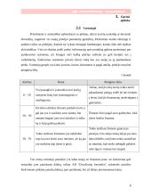 Rinkodaros planas: keramikinių plytelių gamyba ir eksportavimas AB "Dvarčionių keramika" 8 puslapis