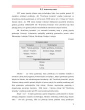 Rinkodaros planas: keramikinių plytelių gamyba ir eksportavimas AB "Dvarčionių keramika" 9 puslapis