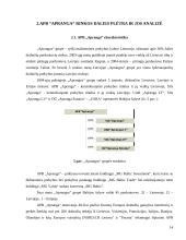 Rinkos dalies plėtros analizė: APB "Apranga" 14 puslapis