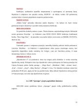 Rinkos dalies plėtros analizė: APB "Apranga" 19 puslapis