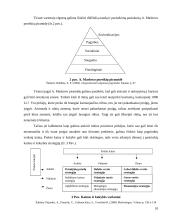 Rinkos dalies plėtros analizė: APB "Apranga" 10 puslapis
