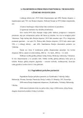 Rusijos ekonominė analizė 13 puslapis