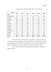 Rusijos ekonominė analizė 14 puslapis