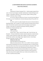 Rusijos ekonominė analizė 19 puslapis