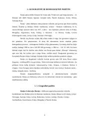 Rusijos ekonominė analizė 4 puslapis