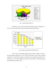 Rusijos ekonominė analizė 8 puslapis