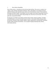 BRIC ekonomika 13 puslapis