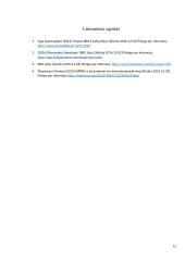 BRIC ekonomika 15 puslapis