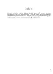 BRIC ekonomika 4 puslapis