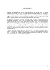 BRIC ekonomika 8 puslapis