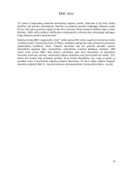 BRIC ekonomika 10 puslapis