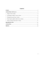 Burnos sveikatą lemiantys veiksmai 2 puslapis