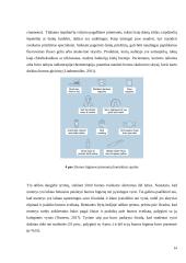 Burnos sveikatą lemiantys veiksmai 14 puslapis