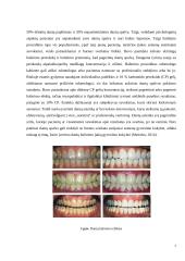 Burnos sveikatą lemiantys veiksmai 7 puslapis