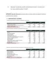 Apranga Group analizė 10 puslapis