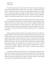 Socialinės rūpybos lyginamoji analizė 2 puslapis