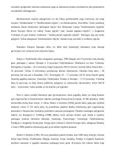 Socialinės rūpybos lyginamoji analizė 13 puslapis