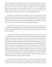 Socialinės rūpybos lyginamoji analizė 14 puslapis