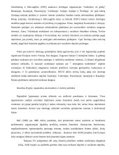 Socialinės rūpybos lyginamoji analizė 17 puslapis