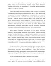 Socialinės rūpybos lyginamoji analizė 18 puslapis